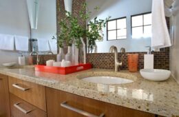 Bathroom Counter Organization