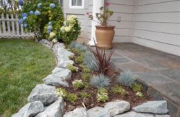 Bay Area landscape design