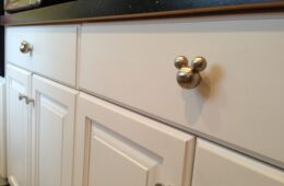 Cabinet Knob