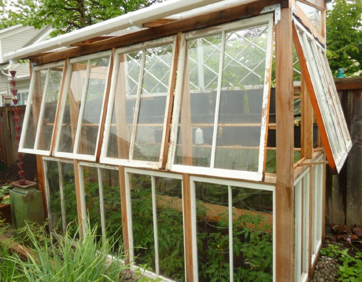 Greenhouse Windows