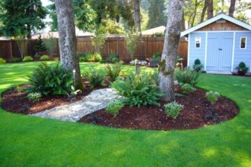 landscaping around trees