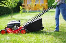 Lawn Mowing Technique