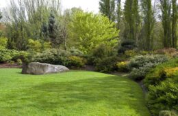 Organic Lawn Care Methods