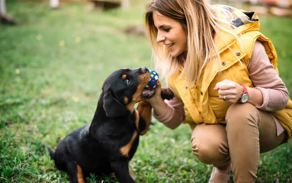 Play with a pet