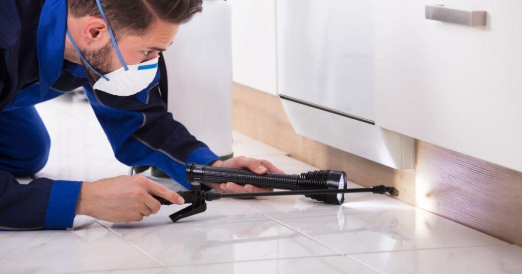 Pre-Sale Pest Inspections for home