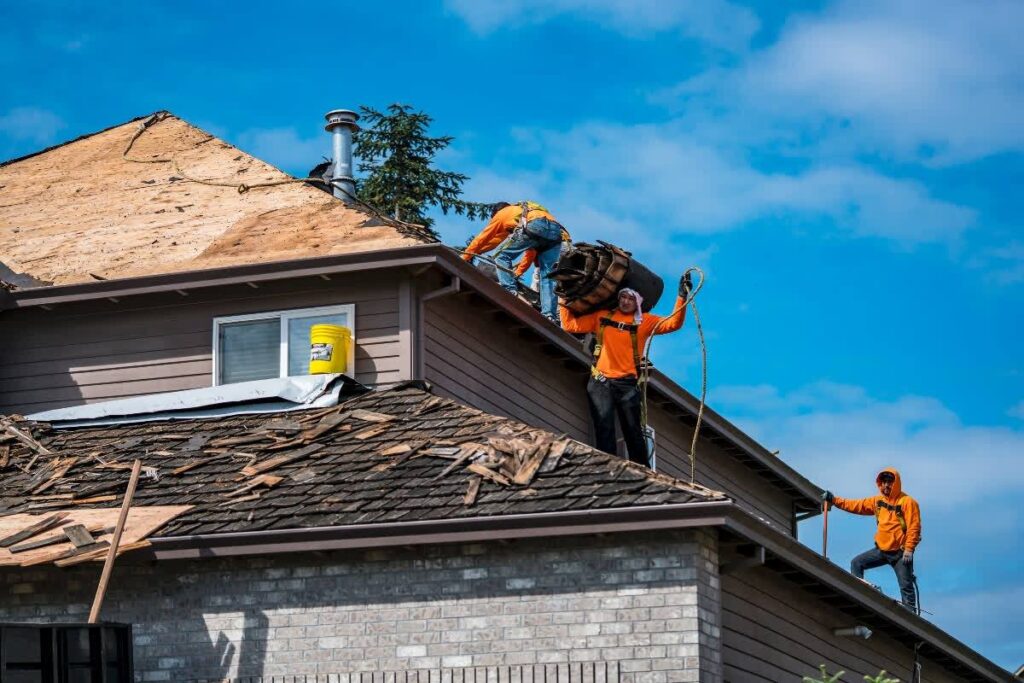 Repair or Replace Your Roof 