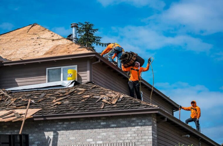 Repair or Replace Your Roof