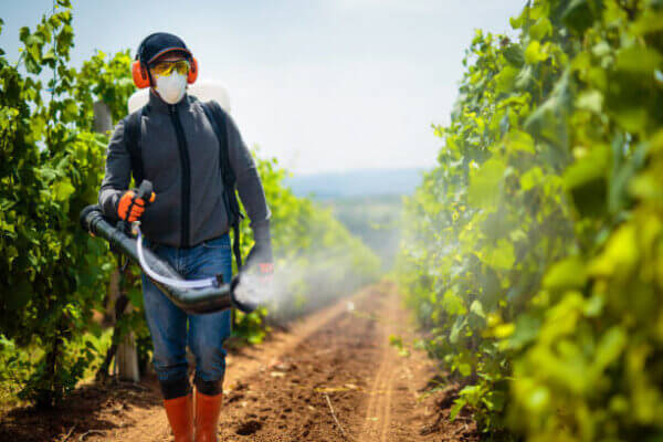 Rodent Control in Agriculture 