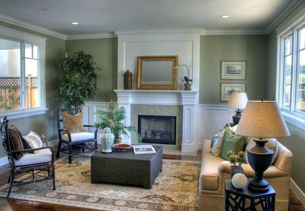 Sage Green Living Room Ideas 