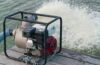 The Ultimate Guide to Water Suction Pumps Maintenance Tips