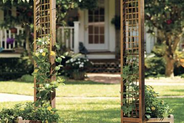 Garden Trellis