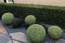 Uses For Artificial Topiary Balls