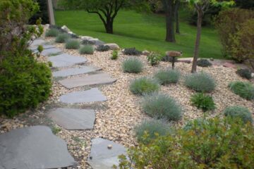 walkway in garden