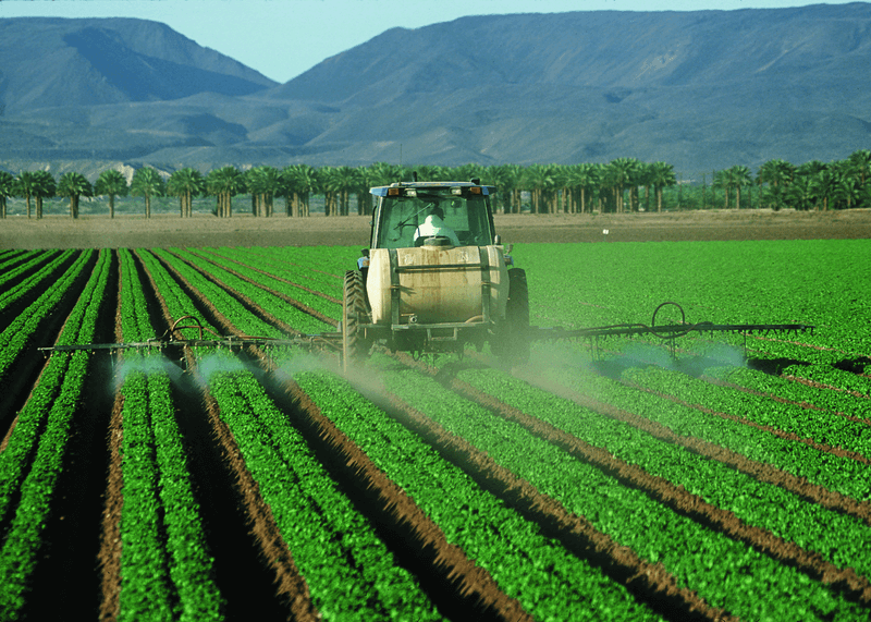 Rodent Control in Agriculture 