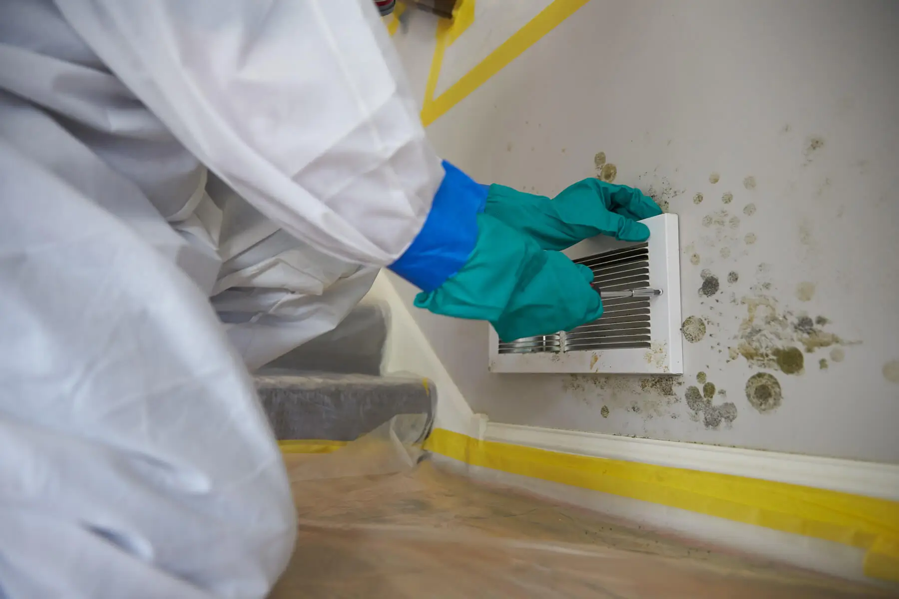 Mold Inspection