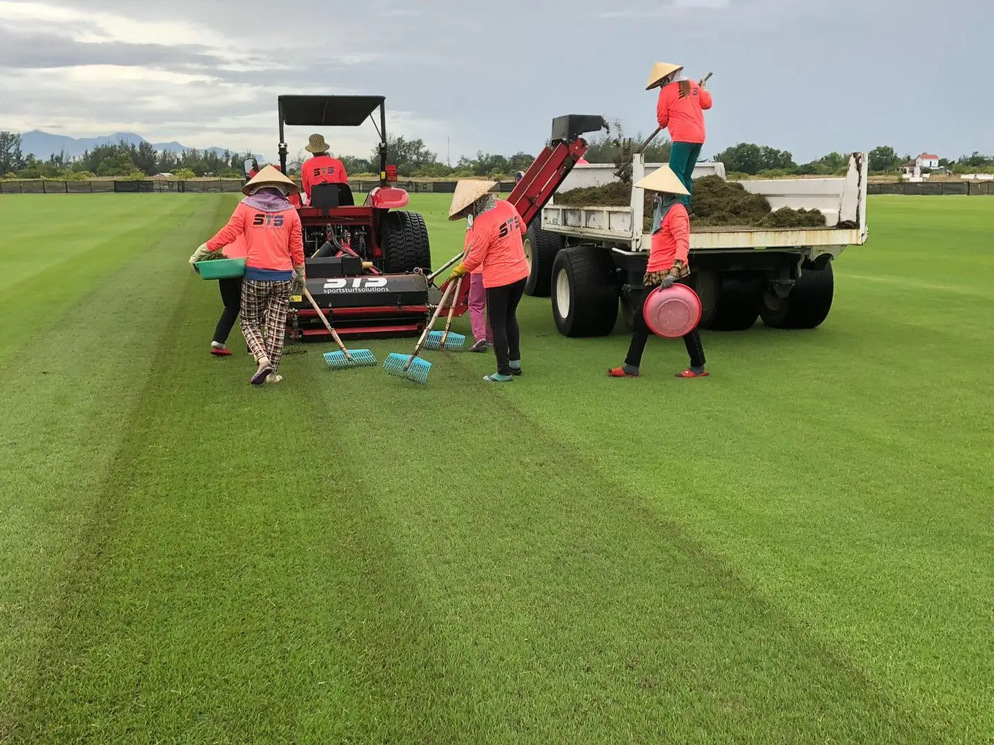 Sustainable Turf Farm